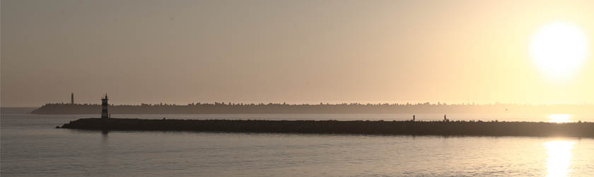 Contact Thor Midwind!